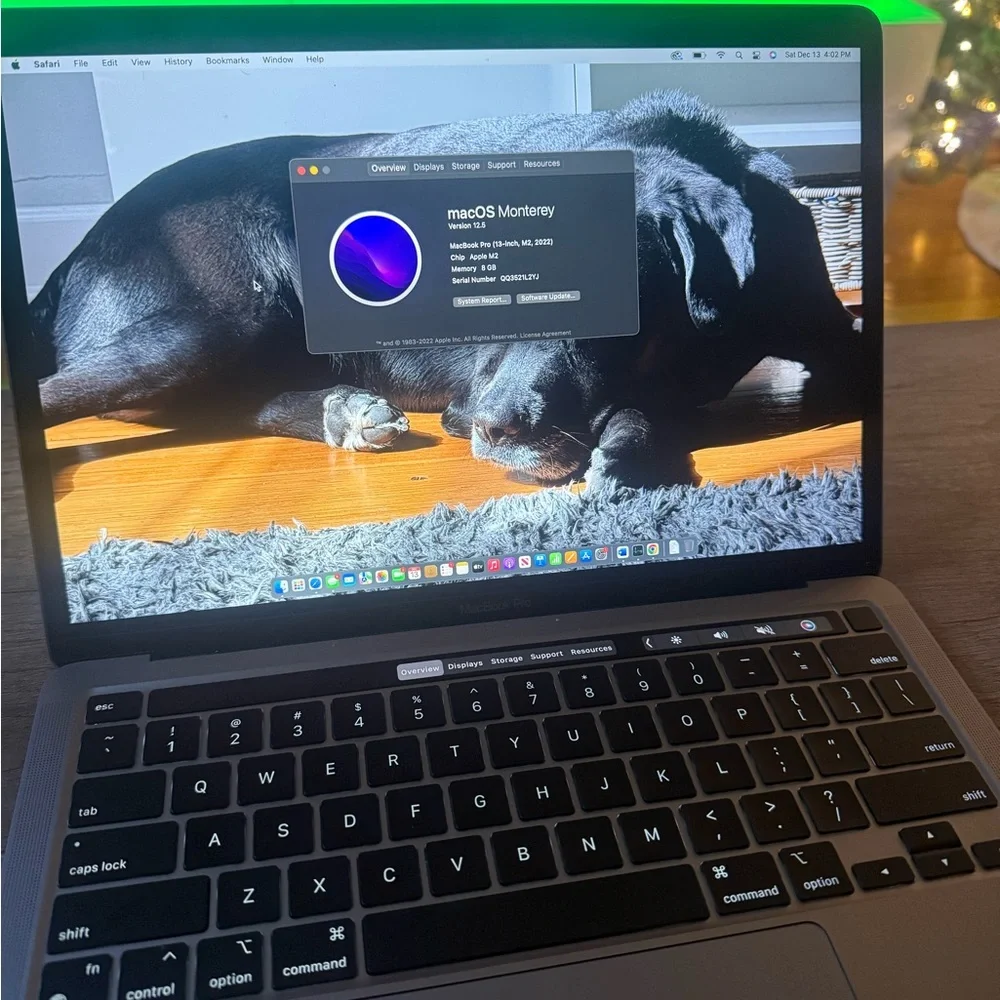 Apple Laptop - Sleek Gray Finish